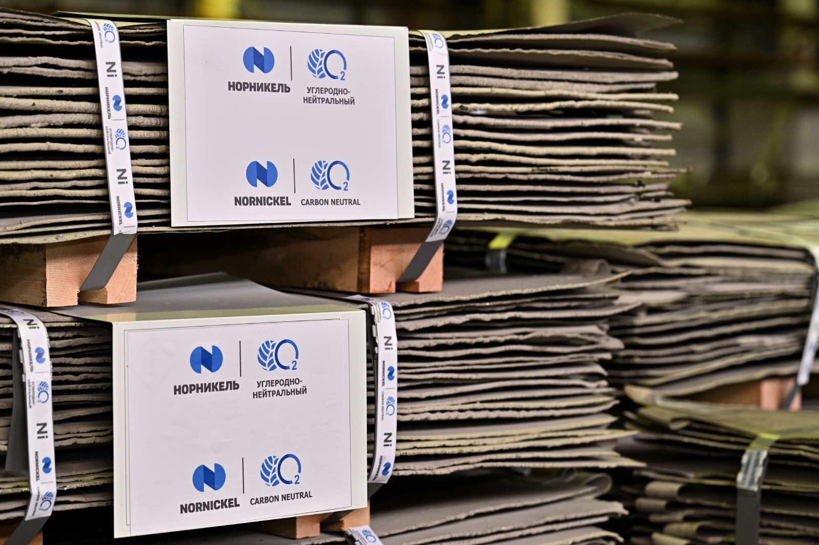 углерода нейтральные. стратегия углеродной нейтральности. углерода нейтральные. норникель печать. углеводородная нейтральность.